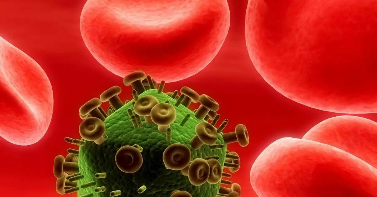 Штаммы ВИЧ. Вирусы 21 века. Самые опасные вирусы 21 века. Бактерии СПИДА для ФШ. Опасные вирусы в мире