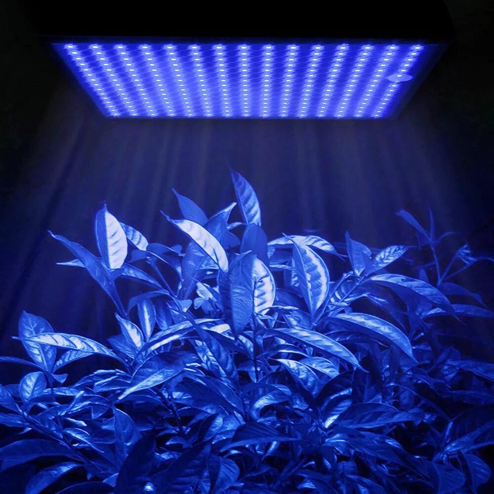 Led plant lights. Фитолампа led grow Light. Led Plant grow Light. Светодиодная лампа для растений 14w. Синяя лампа для растений.
