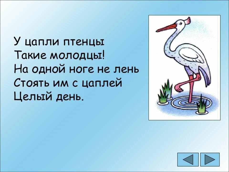 Какими звуками различается пара слов капля цапля. Автоматизация звука ц. автоматизация звука ц в стихах. считалочка звук ц. цапля автоматизация закка ц.