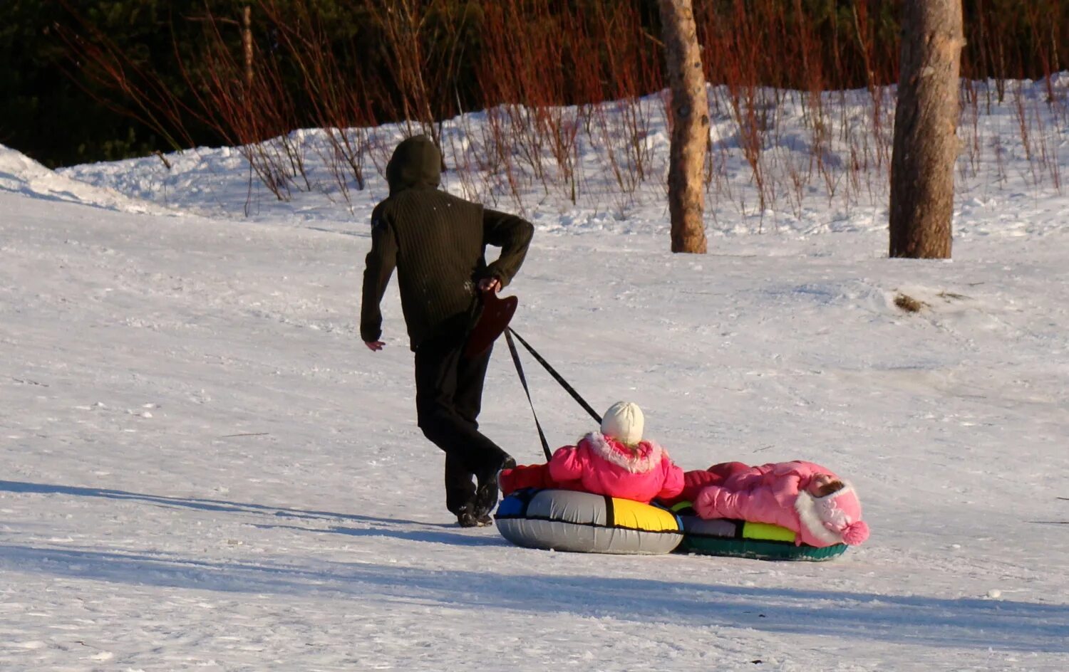 Несите сани