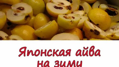 Рецепты из японской айвы самый вкусный
