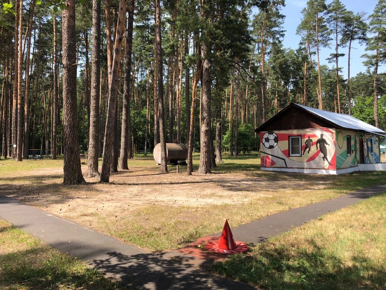 Загородные лагерь Олимпиец. Курск детский оздоровительный лагерь. Детский оздоровительный лагерь Олимпиец Пенза. Лагерь космос 2. Путевка в загородную оздоровительную