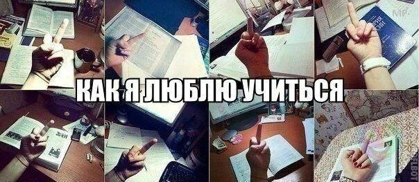 Не учить а любить. Люблю учиться. что нравится в учебе. я люблю учиться картинки. люблю учебу.