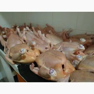 Бройлерных тушек