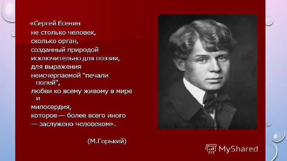 Стихи Есенина. Есенин с. "стихи". Есенин пьяница. Есенин про красавицу. Есенин аудио стихи слушать