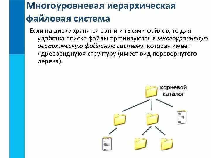 Сетевая структура файловой системы. Многоуровневая иерархическая файловая система. древовидная файловая система. иерархическая файловая структура. многоуровневая файловая структура.