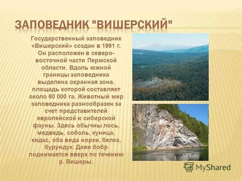 Вишерский заповедник Пермский край. Вишерский заповедник презентация. Сообщение о Вишерском заповеднике. Вишерский заповедник рассказ. Статус пермского края