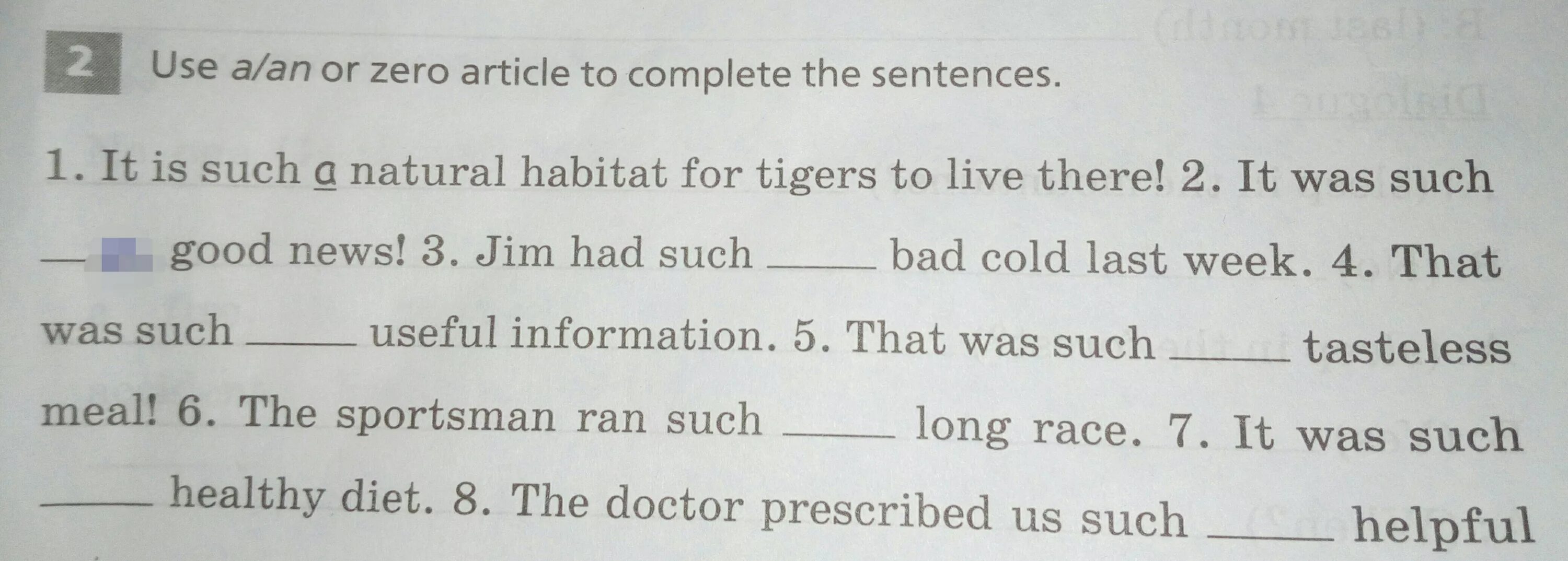 Use a an or the zero article. The or zero article. zero article riles.