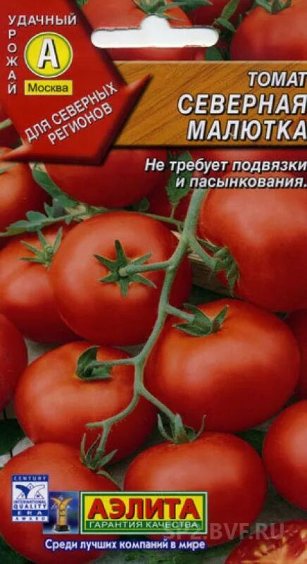 Малютка сорт. Сорт томатов северная малютка. северная малютка помидоры описание. томат северная малютка характеристика и описание. томат сибирская малютка характеристика.