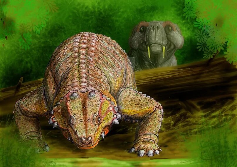 Рубиджея горгонопс. Rubidgea Atrox. Парейазавры. Динозавр Парейазавр.