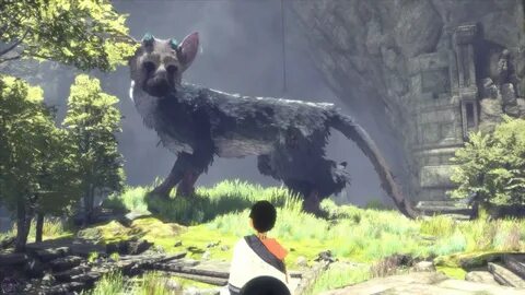 The last guardian картинка.