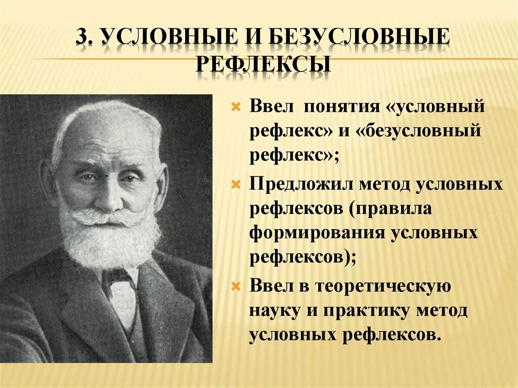 Термин высшая нервная деятельность предложил. Физиология нервной деятельности. Физиология ВНД. Теории формирования рефлексов. Понятие о высшей нервной деятельности.