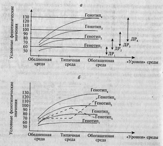 Генотип и среда. Норма и диапазон реакции. Норма реакции и диапазон реакции. Типология генотип средовых эффектов.