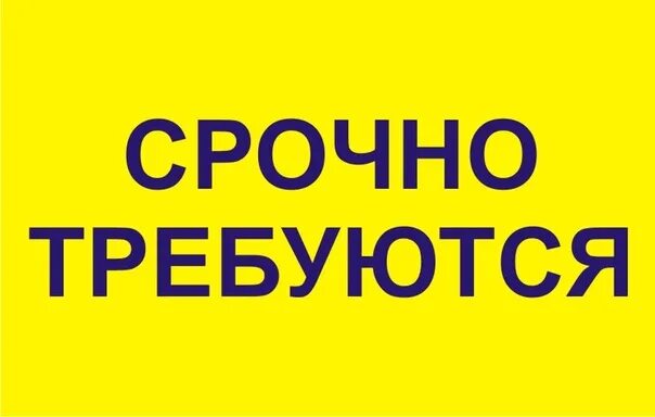 Требуется водитель. Требуются водители категории б. Требуются водители категории б. Категории водителей автомобилей. Требуются водители категории б.
