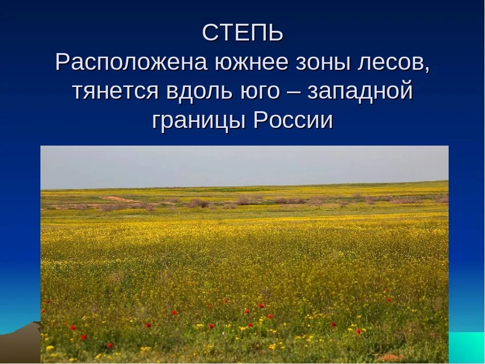 Какие территории россии занимает зона степи. Природные зоны России степь. Зона степей 4 класс окружающий мир. Степная зона презентация. Презентация на тему степь.