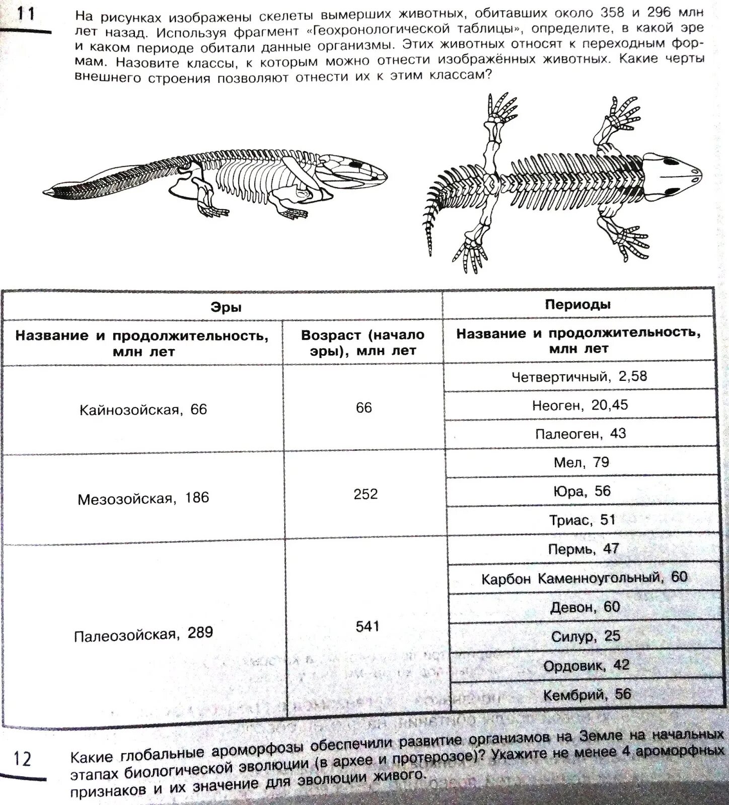 Выберите особенности строения скелета изображенного на рисунке. Таблицы для ЕГЭ по биологии. Задания по биологии. Задания по геохронологической таблице ЕГЭ биология. ЕГЭ по биологии задания.