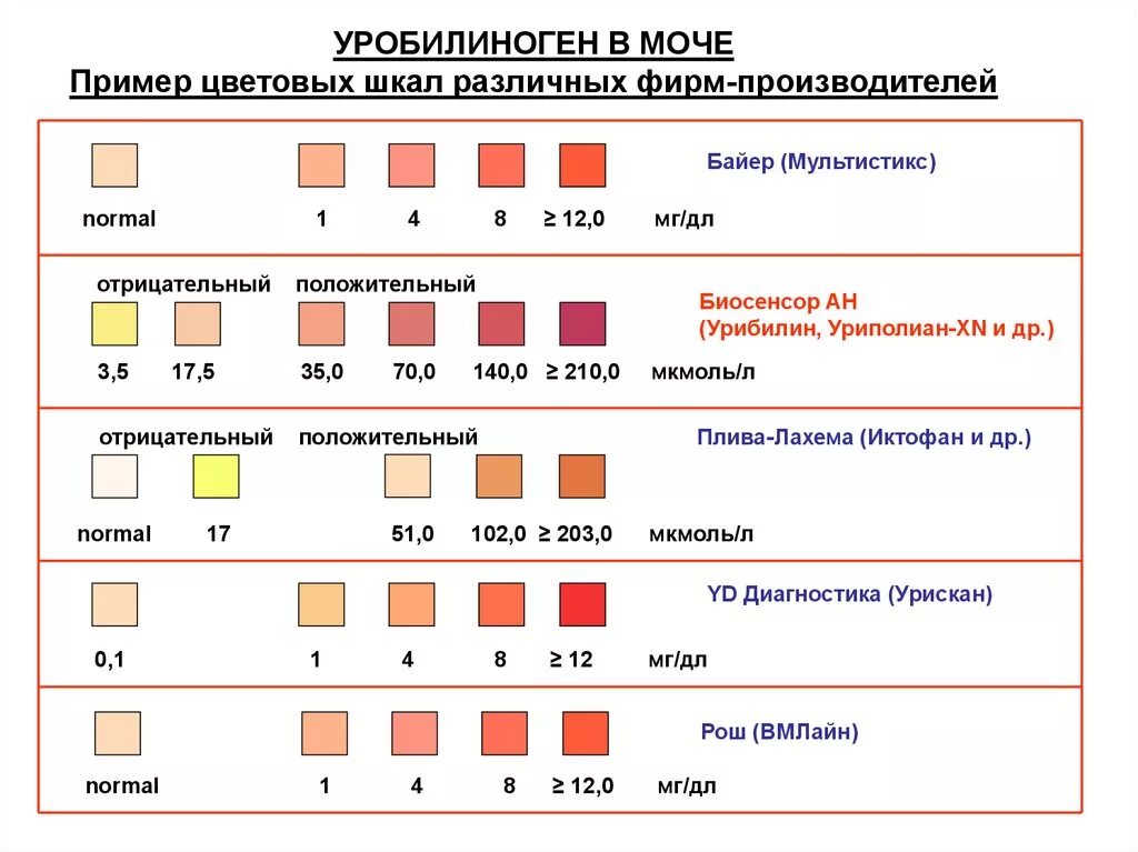 Уробилинурия. Уробилиноген норма в моче в мкмоль/л. Норма уробилиногена в моче показатели. Повышение уробилиногена в моче причины. Уробилин в моче норма показатели.