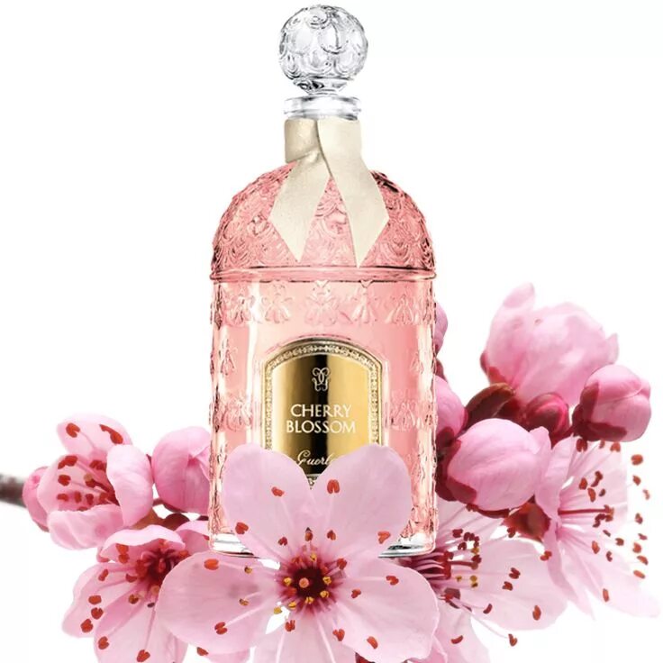 Guerlain Aqua Allegoria Cherry Blossom. Герлен Аква аллегория Cherry Blossom. Guerlain Cherry Blossom. Духи +герлен Cherry Blossom. Cherry blossom отзывы