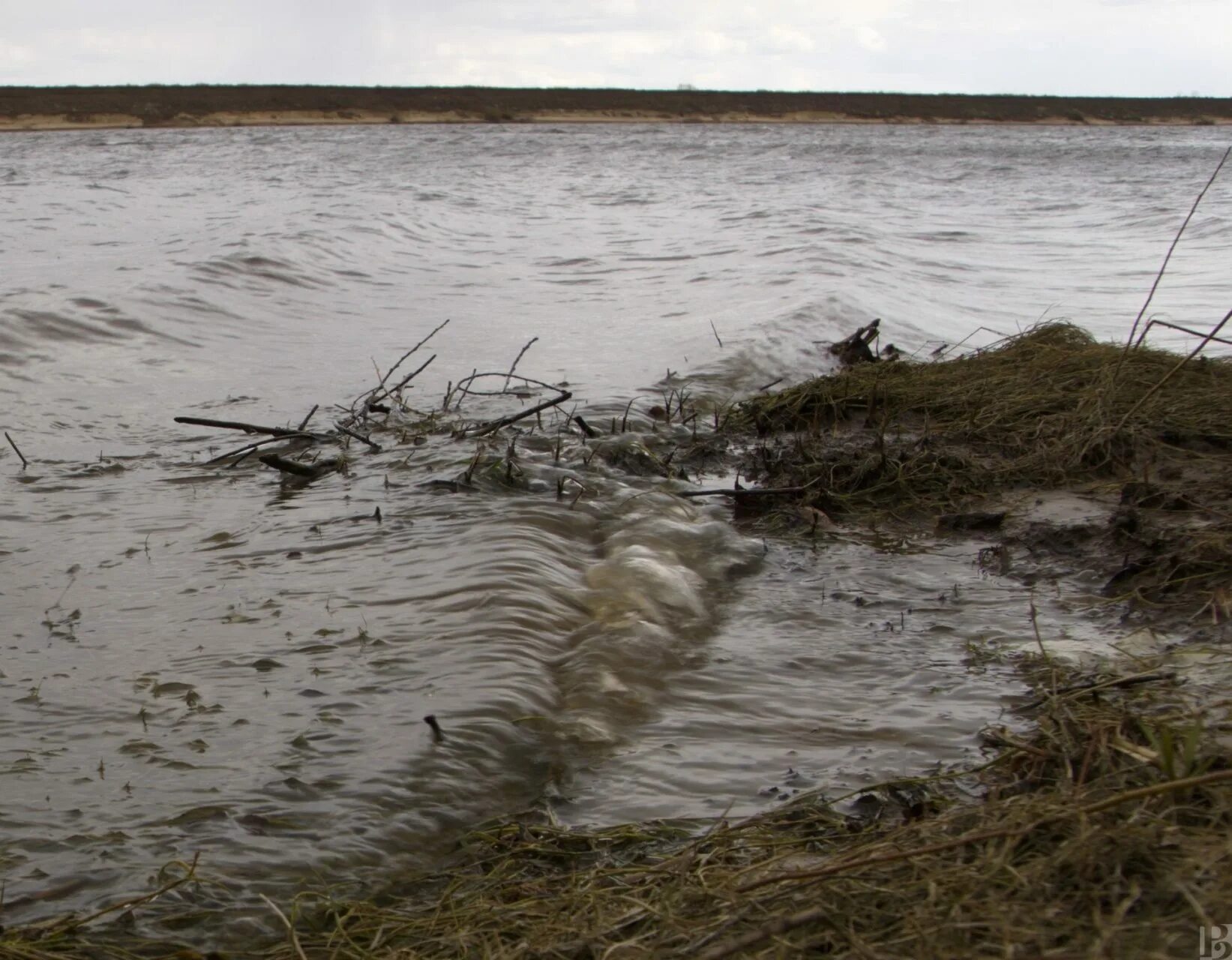 Уровень воды в рязанской области. Подъем воды в Оке Рязань. Уровень воды в Оке Рязань. Уровень воды в Оке Дединово. Уровень воды Ока.