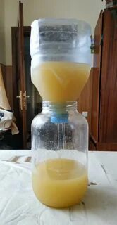 Висельник рецепты приготовления