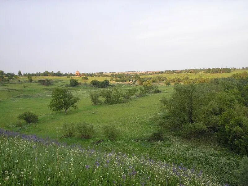 Село любимовка тульская область. Воловский район тульская область. деревня юдинка тульская область воловский район. деревня волово тульская область. волово, тульской губернии.