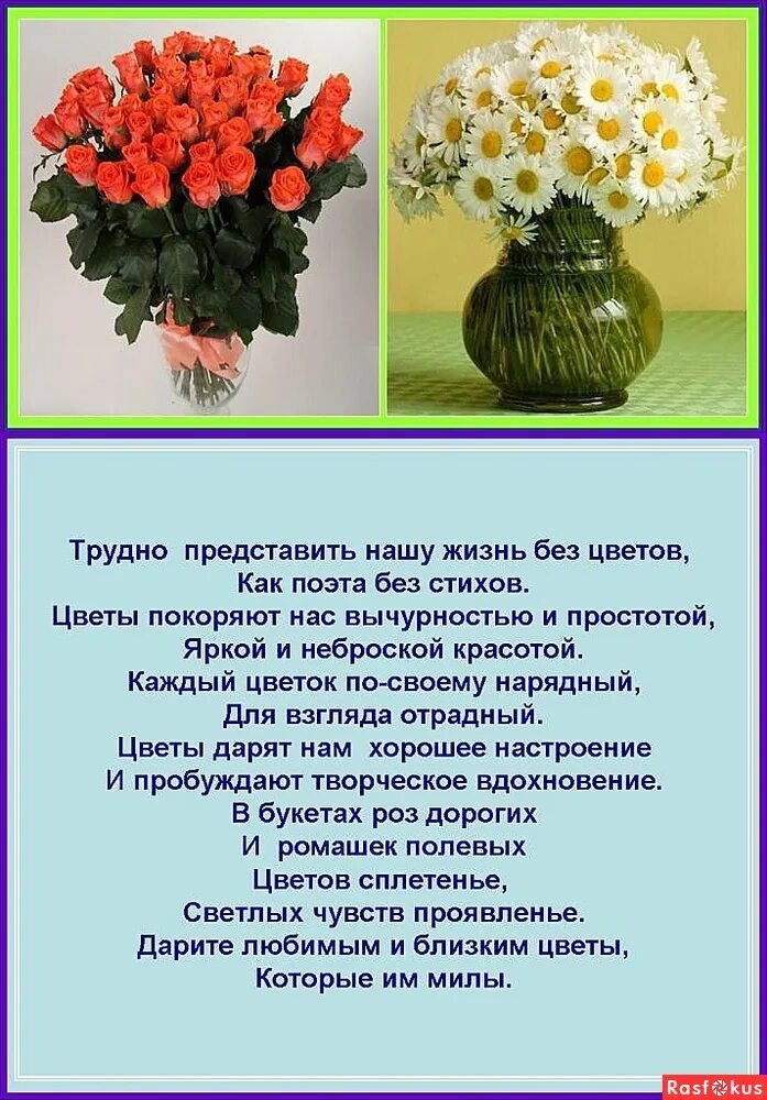 Цветов цветов еще цветов. Стихи про букет цветов. Стихи про букеты цветов короткие красивые. Стихи про цветы. Цветок цветы стих.