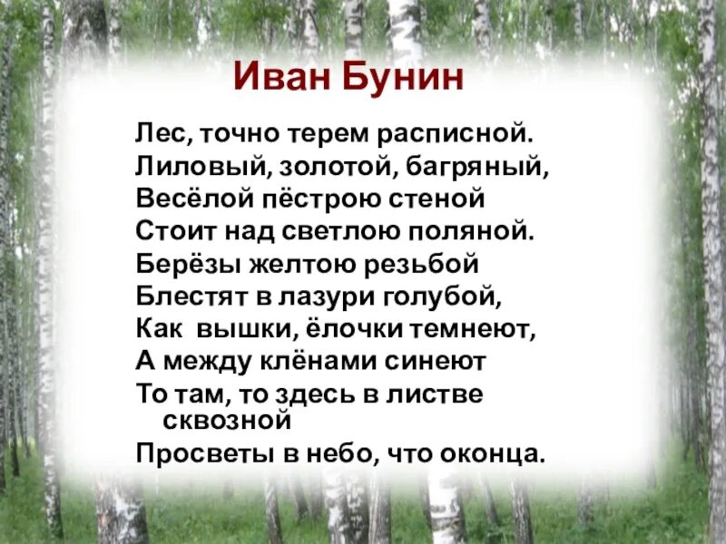 Стихи о лесе. Стихотворение про лес. Стихи о лесах. Стихи о русском лесе. Стихотворение связанное с природой