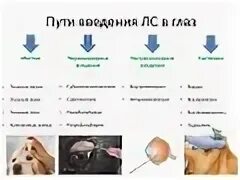Офтальмология лекции