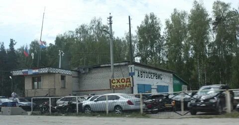 Погода умет мордовия