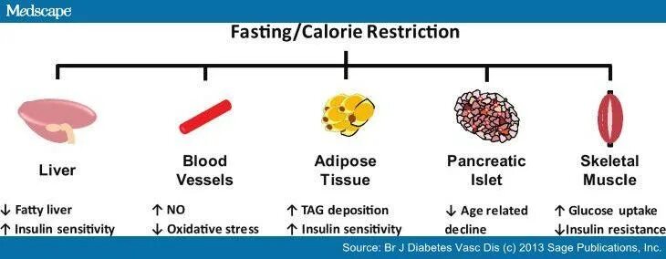 Calorie restriction. Calorie restriction Diet. Restriction of meaning. Restriction Life.