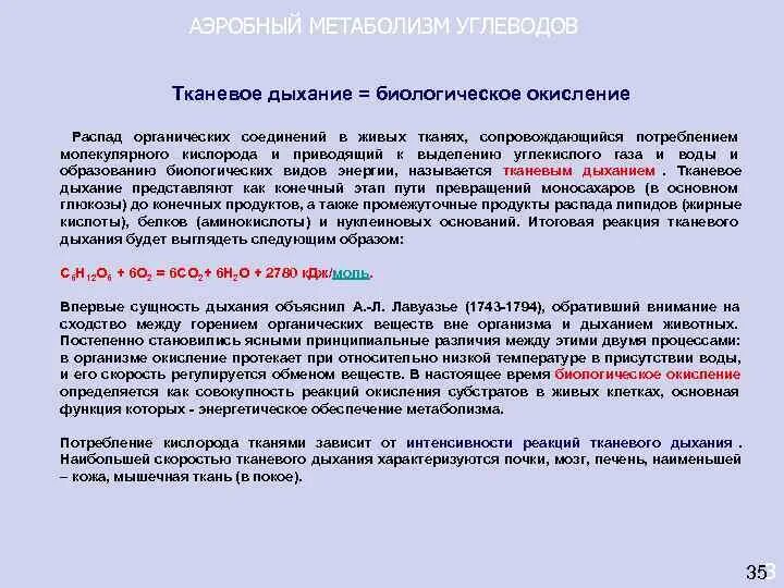 У человека в процессе дыхания происходит окисление. Тканевое дыхание и биологическое окисление. биологическое окисление углеводов. тканевое дыхание терминальный этап биологического окисления. аэробное биологическое окисление.