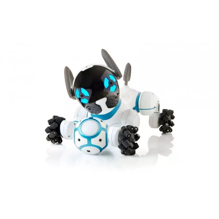 View source image Puppies, Dog toys, Dogs
