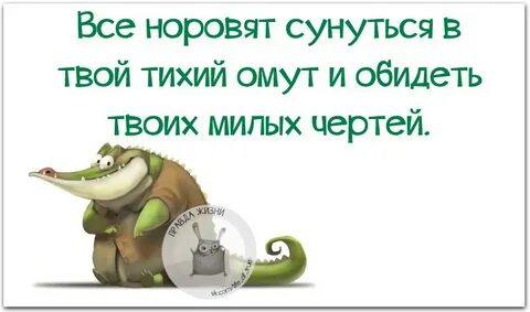 Тише твоя