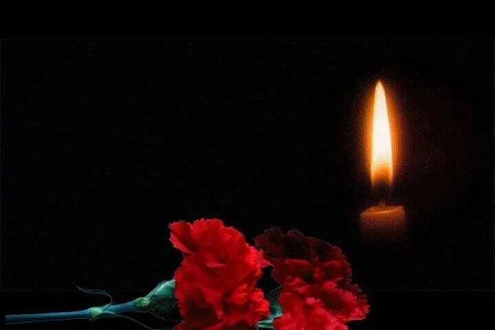 Траур соболезнования. Траурная свеча. Гвоздики и свеча памяти. Траурная свеча и гвоздики. Траурный фон.