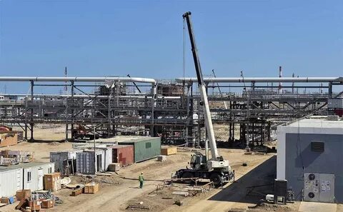 Pp plant