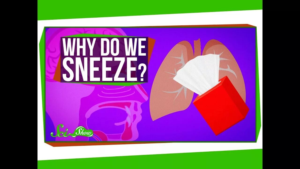 Why we post. Why we sneeze. sneeze what is it. sneeze game. why us.