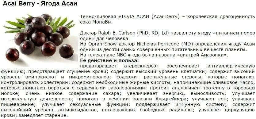 Ягоды асаи полезные свойства. Ягоды асаи полезные свойства. Ягода асаи полезные. Сок ягод асаи. Ягоды асаи полезные свойства.