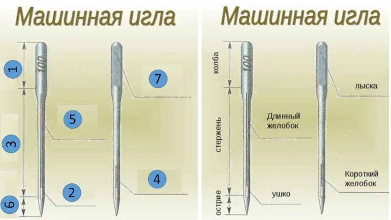 Машинная игла 6 класс технология. Устройство машинной иглы. Строение машинной иглы. Устройство машинной швейной иглы.