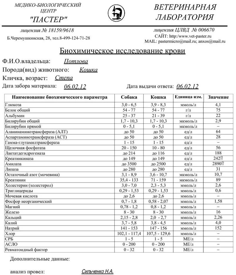 Кровь на асло что это. Анализ крови на биохимию направление. Биохимия крови анализ бланк анализа. Биохимический анализ крови норма бланк. Лабораторное исследование крови бланк.