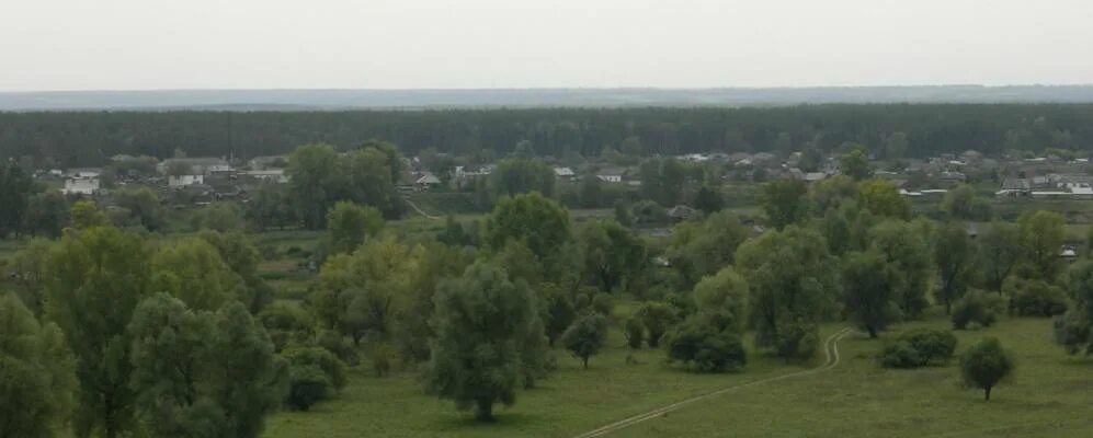 Село Черемушкино Залесовского района Алтайского края. Алтайского села Черёмушкино Залесовского района. Гуниха Алтайский край Залесовский район. Село Гуниха Залесовского района Алтайского края. Погода черемушкино алтайский край