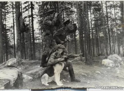 17 застава