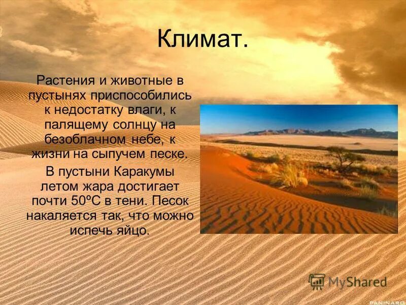 пустыня кратко 4 класс. климат пустынь. пустыни и полупустыни 4 класс окружающий мир. доклад о пустыне. растение в пустыне описание.