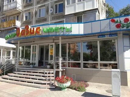 Оазис ул гоголя 65