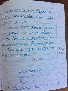 Дорога шла через