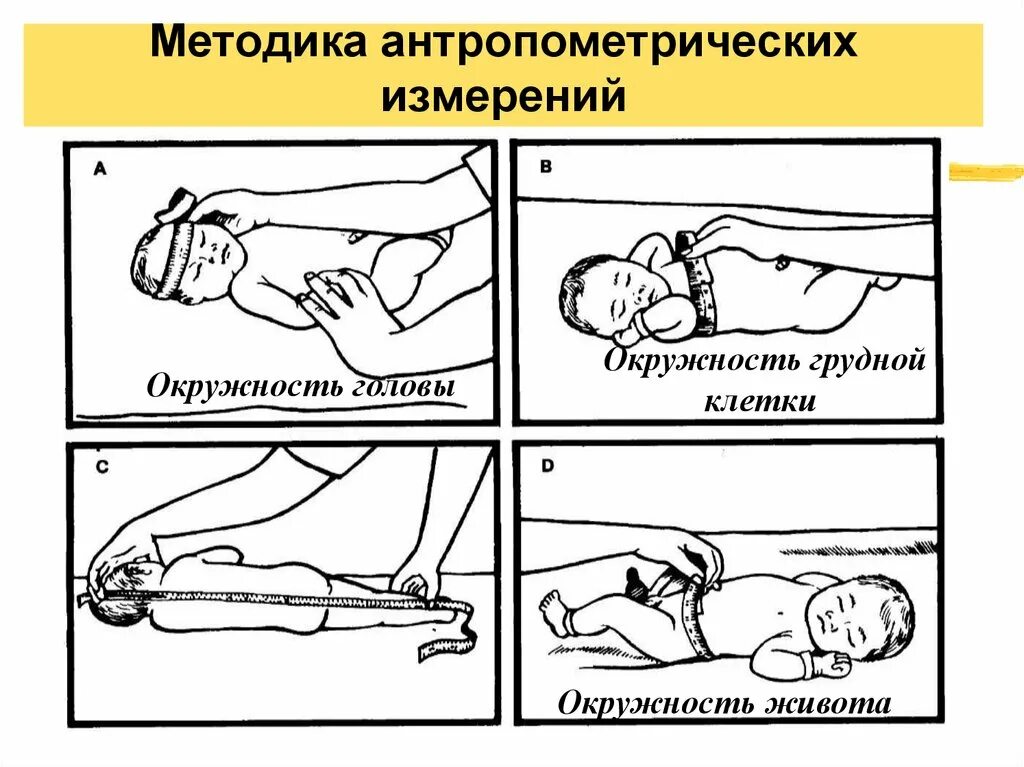 Измерение детей до года. Антропометрические измерения новорожденного алгоритм. Алгоритм измерения окружности головы ребенка грудного возраста. Измерение роста новорожденного алгоритм. Техника проведения антропометрии новорожденного.