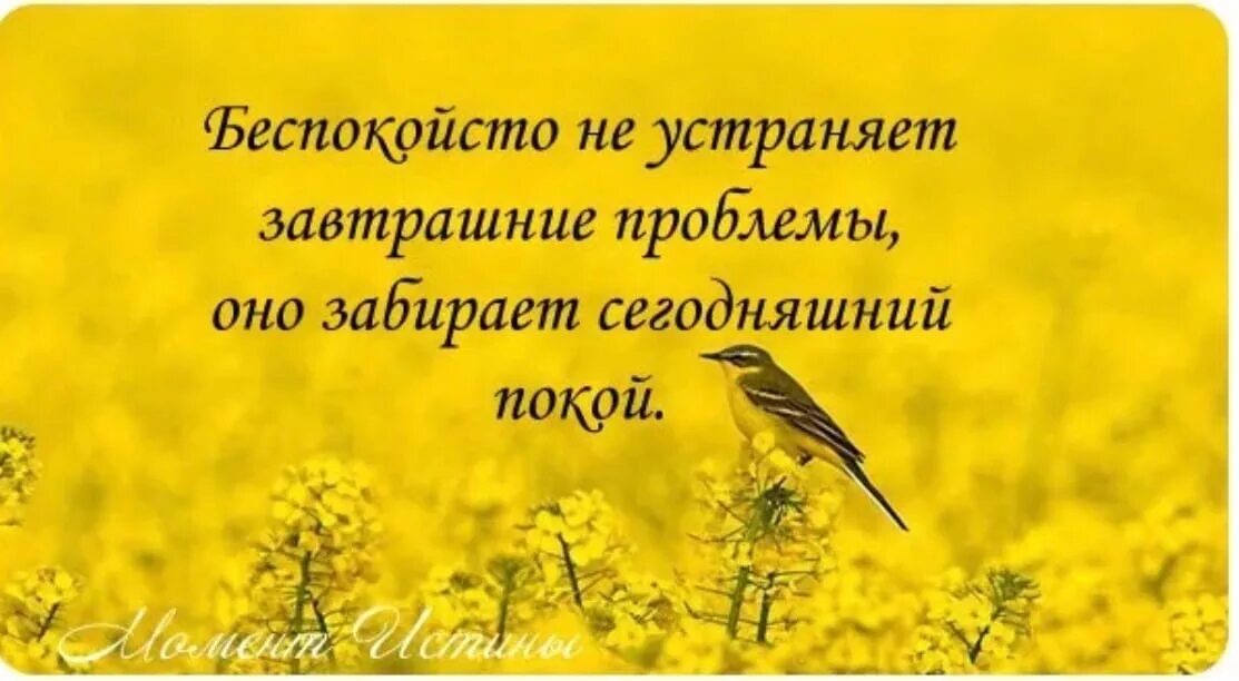 Думая о завтрашнем дне продолжение. Итак не заботьтесь о завтрашнем дне. Не беспокойтесь о завтрашнем дне. Достаточно для каждого дня своей заботы. Не заботьтесь о завтрашнем дне ибо завтрашний.