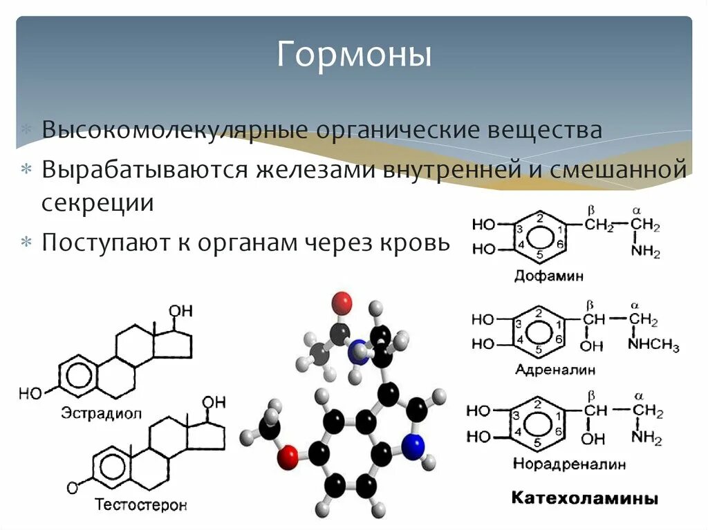 Эстрадиол гормон у мужчин за что отвечает. Тестостерон формула химическая. Как выглядят гормоны. Химические формулы гормонов. Эстрадиол биохимические функции.