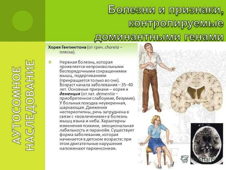Болезнь хантингтона (хорея гентингтона). Хорея гентингтона этиология. Болезнь гентингтона (хорея гентингтона). Болезнь хорея гентингтона. Ген болезни гентингтона.