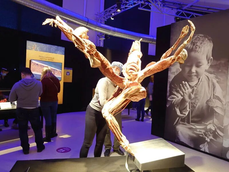 Выставочная часть. Body Worlds Москва ВДНХ выставка. Выставка части тела ВДНХ 2021.