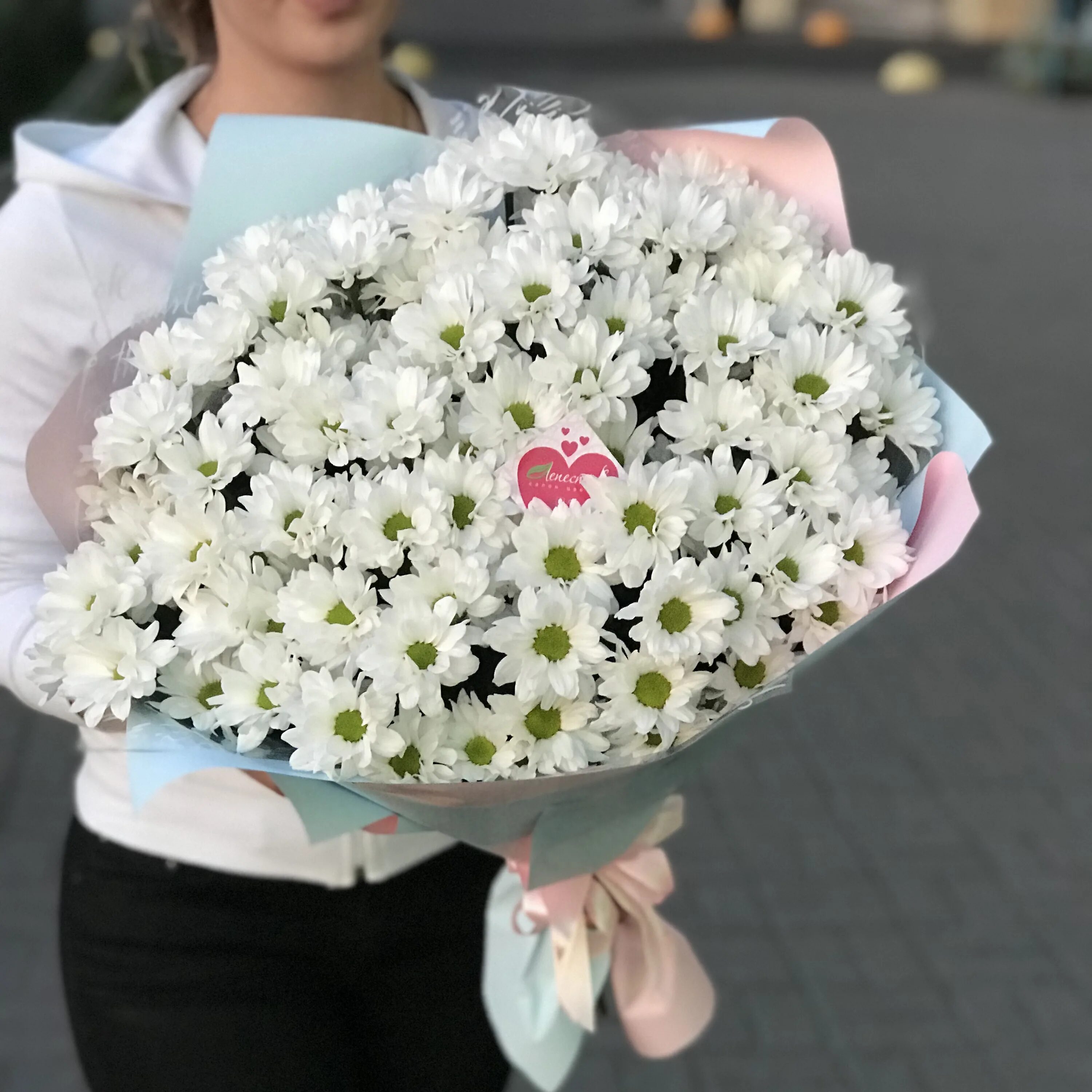 Хризантема девушка букет. Букет бакарди ромашковая хризантема. букет из ромашковидных хризантем. ромашковидные хризантемы букет. 101 ромашковая хризантема.